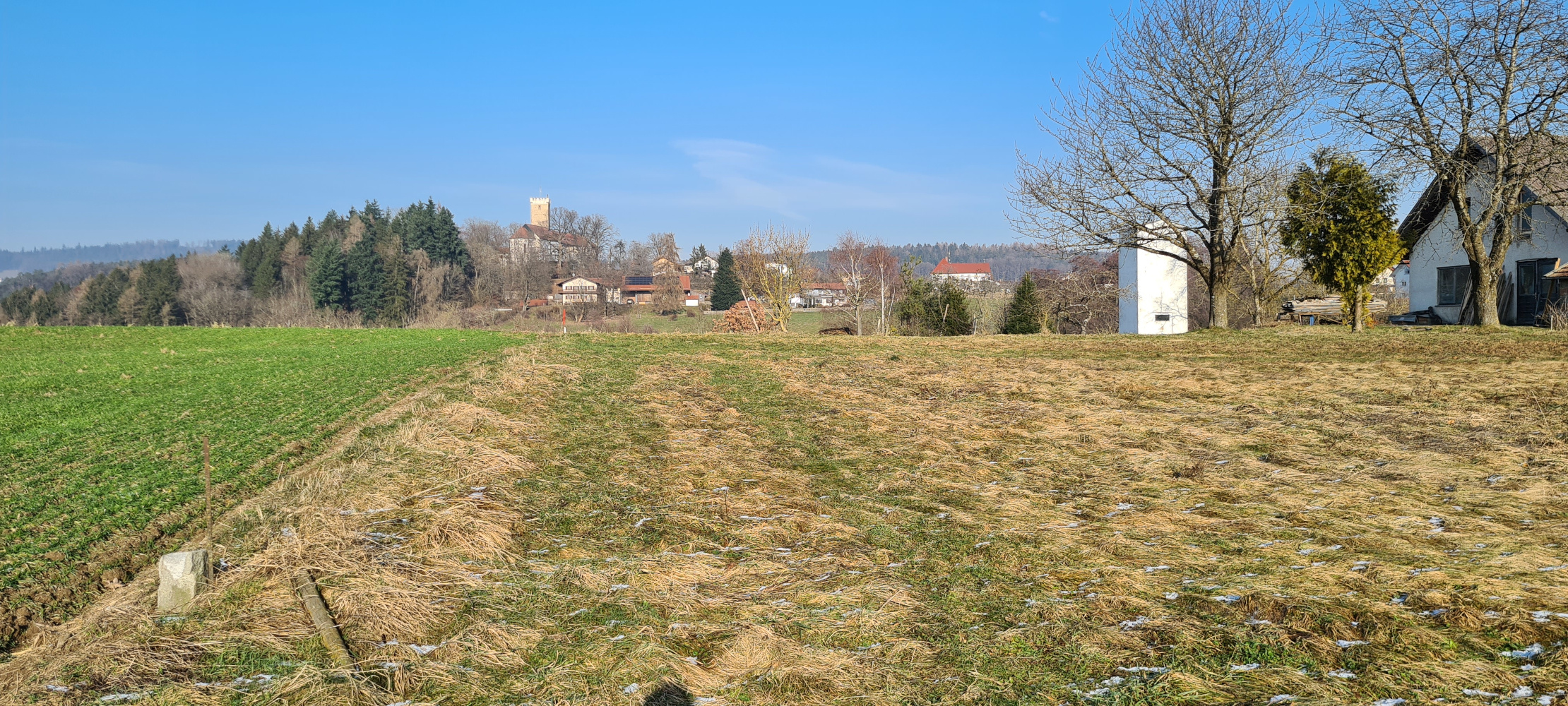 Burgblick